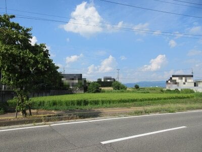 長野県伊那市 伊那市駅24分 農地 283万円の国税庁公売物件 #1