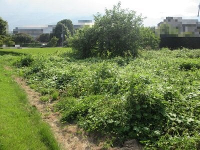 長野県伊那市 伊那市駅24分 農地 283万円の国税庁公売物件 #2