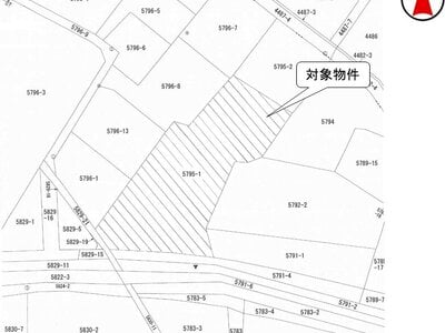 長野県伊那市 伊那市駅24分 農地 283万円の国税庁公売物件 #3