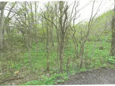 (値下げ) 北海道上川郡上川町 上川駅29分 戸建て 135万円の競売物件 #53