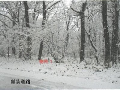 (値下げ) 栃木県那須郡那須町 土地 108万円の競売物件 #2