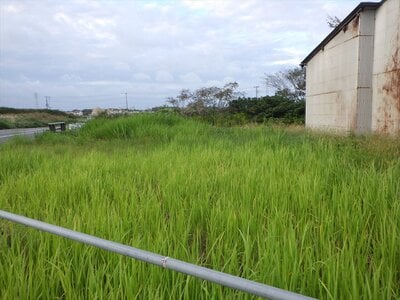 千葉県旭市 旭駅13分 土地 521万円の官公庁公売物件 #2