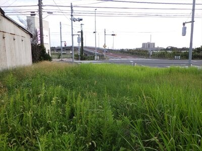 千葉県旭市 旭駅13分 土地 521万円の官公庁公売物件 #3