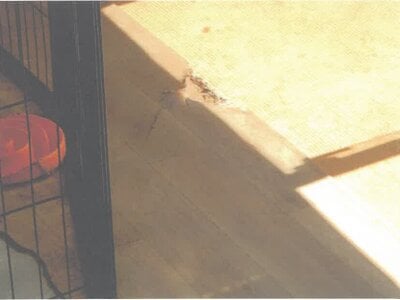 茨城県土浦市 神立駅 戸建て 1,426万円の競売物件 #4