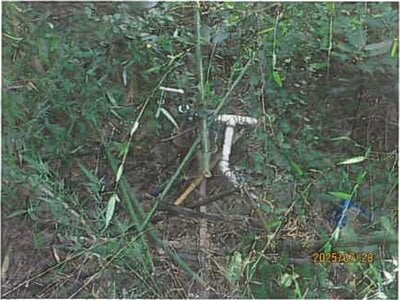 静岡県熱海市 来宮駅18分 マンション「ライオンズヒルズ熱海」226万円の競売物件 #16