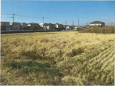(値下げ) 静岡県沼津市 片浜駅8分 農地 41万円の競売物件 #1