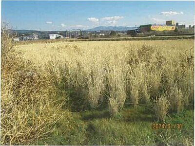 (値下げ) 静岡県沼津市 片浜駅8分 農地 41万円の競売物件 #2