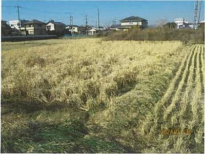 (値下げ) 静岡県沼津市 片浜駅8分 農地 41万円の競売物件 #4