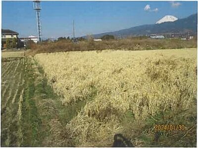 (値下げ) 静岡県沼津市 片浜駅8分 農地 41万円の競売物件 #5
