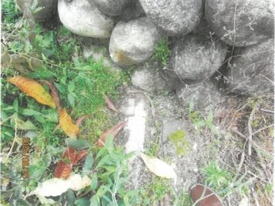 長野県下伊那郡松川町 伊那大島駅13分 戸建て 170万円の競売物件 #6