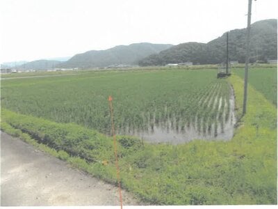 福井県越前市 越前たけふ駅 農地 6万円の競売物件 #1