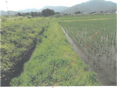 福井県越前市 越前たけふ駅 農地 6万円の競売物件 #3