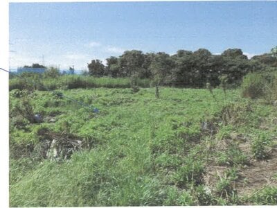 福井県坂井市 あわら湯のまち駅25分 農地 36万円の競売物件 #2