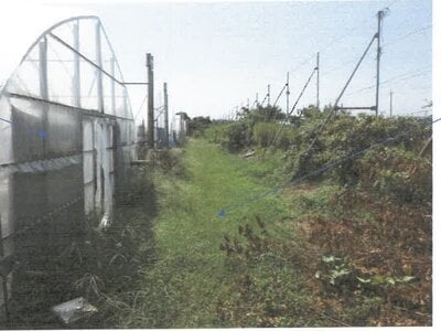 福井県坂井市 あわら湯のまち駅25分 農地 36万円の競売物件 #3