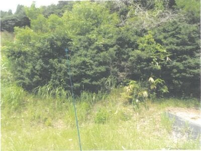 福井県越前市 北府駅 戸建て 296万円の競売物件 #12