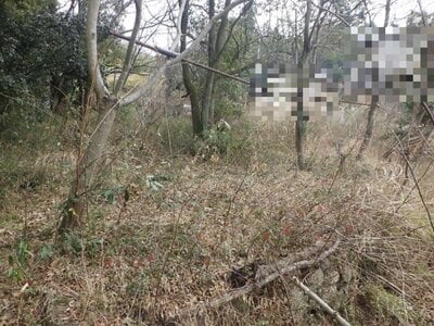 広島県福山市 福山駅 農地 10万円の国税庁公売物件 #1