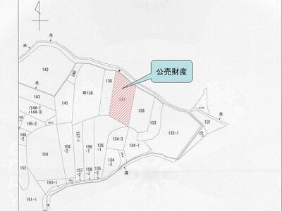 広島県福山市 福山駅 農地 10万円の国税庁公売物件 #2