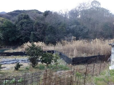 広島県福山市 福山駅 農地 19万円の国税庁公売物件 #1