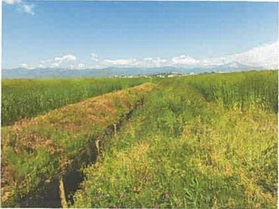 滋賀県長浜市 河毛駅 農地 138万円の競売物件 #10