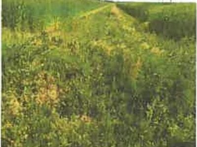 滋賀県長浜市 河毛駅 農地 138万円の競売物件 #11