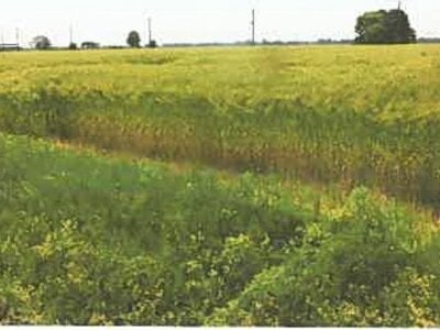 滋賀県長浜市 河毛駅 農地 138万円の競売物件 #13