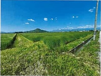 滋賀県長浜市 河毛駅 農地 138万円の競売物件 #15