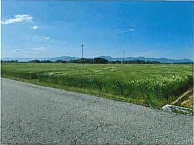 滋賀県長浜市 河毛駅 農地 138万円の競売物件 #16