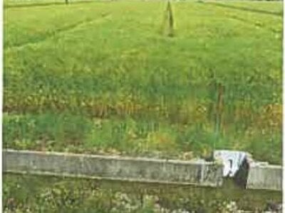 滋賀県長浜市 河毛駅 農地 138万円の競売物件 #4