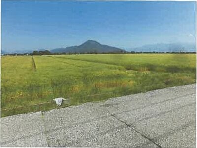 滋賀県長浜市 河毛駅 農地 138万円の競売物件 #5