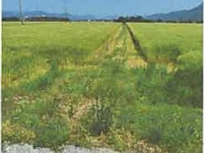 滋賀県長浜市 河毛駅 農地 138万円の競売物件 #7