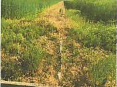 滋賀県長浜市 河毛駅 農地 138万円の競売物件 #8