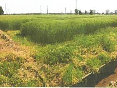 滋賀県長浜市 河毛駅 農地 138万円の競売物件 #9