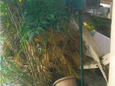 大阪府貝塚市 貝塚駅6分 戸建て 2,662万円の競売物件 #11