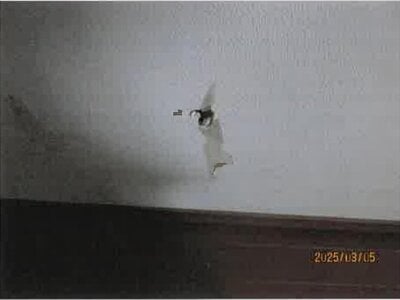 大阪府和泉市 和泉府中駅8分 マンション「プレミスト和泉府中」1,085万円の競売物件 #13