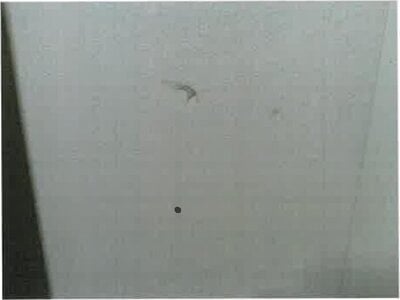 大阪府和泉市 北信太駅15分 マンション「和泉鶴山台アーバンコンフォート」347万円の競売物件 #10