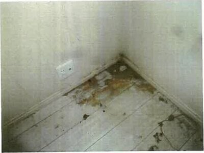 和歌山県和歌山市 日前宮駅7分 戸建て 773万円の競売物件 #8