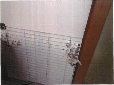 和歌山県海南市 加茂郷駅7分 戸建て 1,076万円の競売物件 #20