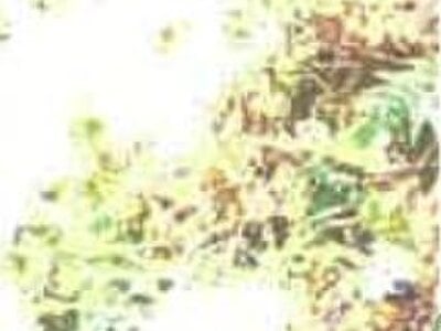 島根県松江市 松江しんじ湖温泉駅20分 戸建て 306万円の競売物件 #12