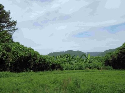 沖縄県名護市 農地 220万円の国税庁公売物件 #2