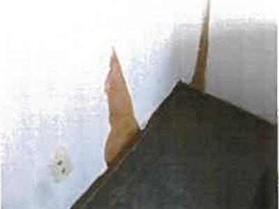 和歌山県和歌山市 日前宮駅16分 マンション「パレ・ロワイヤル井辺」88万円の競売物件 #4