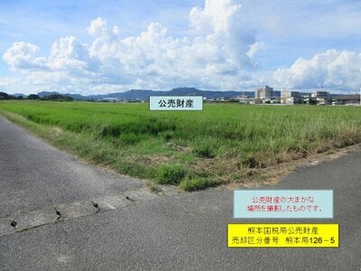 鹿児島県霧島市 国分駅 農地 74万円の国税庁公売物件 #1