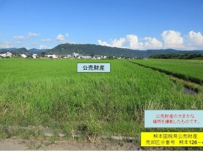 鹿児島県霧島市 国分駅 農地 79万円の国税庁公売物件 #1