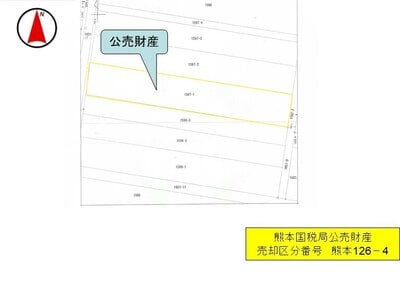 鹿児島県霧島市 国分駅 農地 79万円の国税庁公売物件 #3