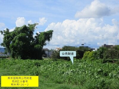 鹿児島県霧島市 国分駅 農地 119万円の国税庁公売物件 #3