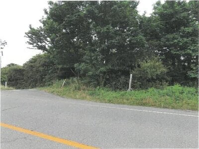 新潟県新潟市西蒲区 越後赤塚駅 土地 173万円の競売物件 #3