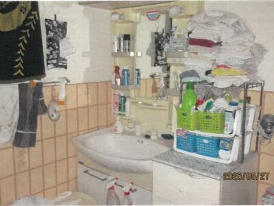 大阪府大阪市生野区 南巽駅8分 戸建て 763万円の競売物件 #13