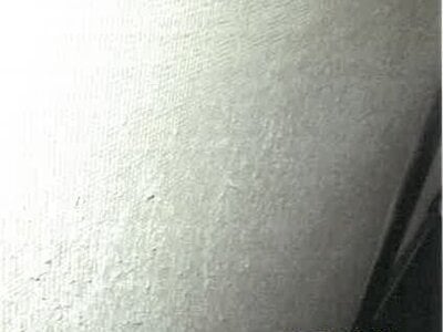 大阪府大阪市生野区 南巽駅8分 戸建て 763万円の競売物件 #20