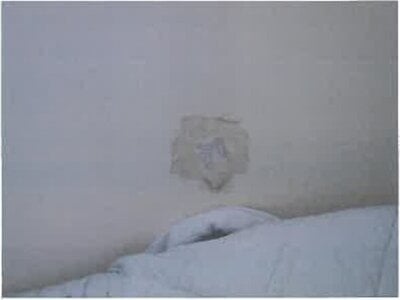 広島県広島市安佐南区 安芸長束駅26分 戸建て 1,853万円の競売物件 #18