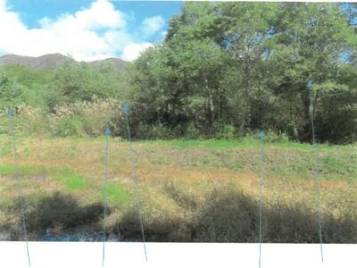 (値下げ) 福島県耶麻郡北塩原村 土地 50万円の競売物件 #3