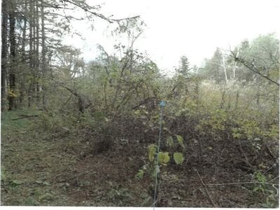 (値下げ) 福島県耶麻郡北塩原村 戸建て 429万円の競売物件 #31